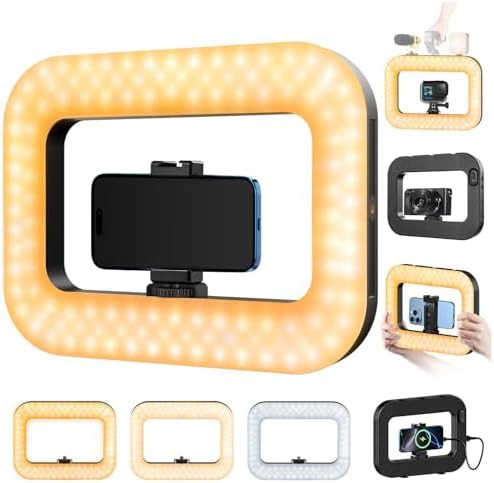 Handheld phone stabilizer with integrated light