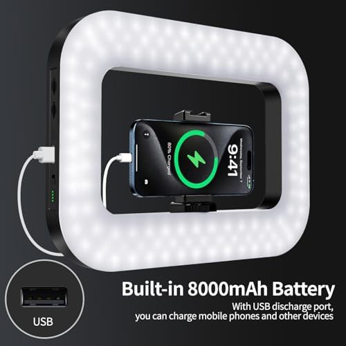 Handheld phone stabilizer with integrated light — photo 4