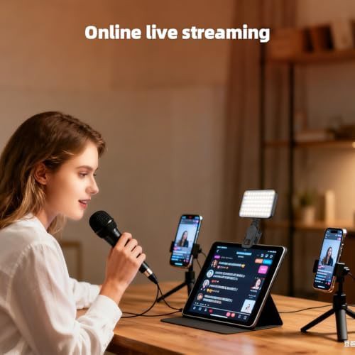 Portable charger style video conference light — photo 4