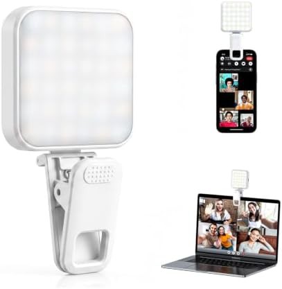 Portable clip on light for influencers